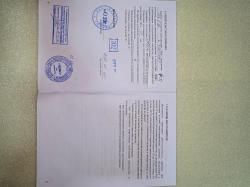 Тигр Легион