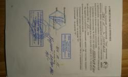 Тигр премьер СВД в исполнении легион