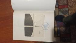 Тигр Премьер СВД