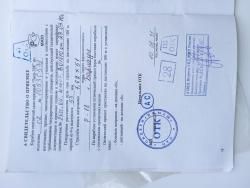 Тигр в 308 калибре