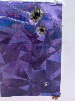 1.Тигр.2.СКС.3.Тикка