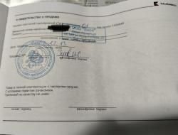 Тигр