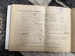 Тигр