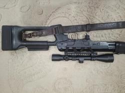 Тигр