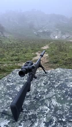 Тикка т3 х 308