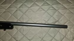 Tikka T3 Super Varmint 243 Win