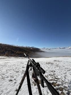 Tikka T3x CARBON MDT 300 win mag 