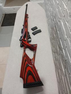 ТОЗ - 310 ( юбилейный)