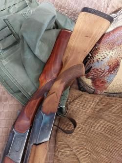 ТОЗ - 34Р 12-ый калибр