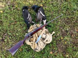 ТОЗ-16 карабин однозарядный