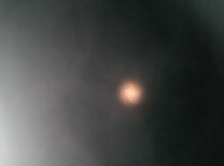 ТОЗ-17 MADE IN USSR ластохвост 