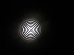 ТОЗ-34ЕР штучный безфлажковый