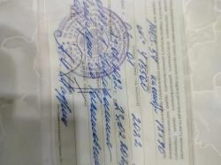 ТОЗ 54, 12 калибр