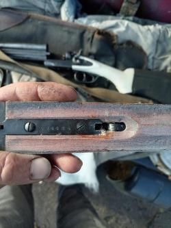 Тоз 66 12 калибр 