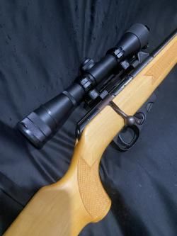 ТОЗ-78-01, кал.22LR