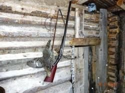 ТОЗ-Б 12 калибр 1911 года выпуска