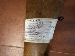 ТОЗ-БМ, кал. 16/70