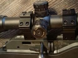 Umarex walter dominator 1250 