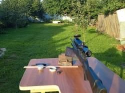 Umarex walter dominator 1250 