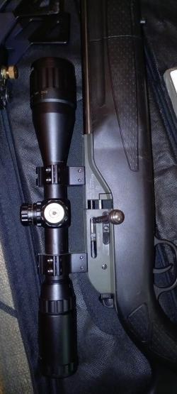 Umarex walter dominator 1250 