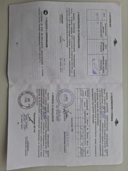 Вепрь 12 молот