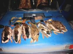 Вепрь 12 молот 