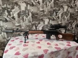 Вепрь 308