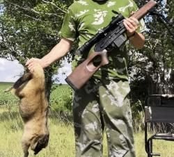 Вепрь 308Win