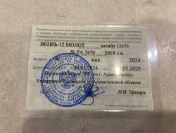 Вепрь молот 12