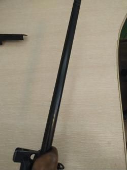 Вепрь-Пионер 223