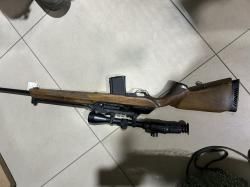 Вепрь-пионер 223REM