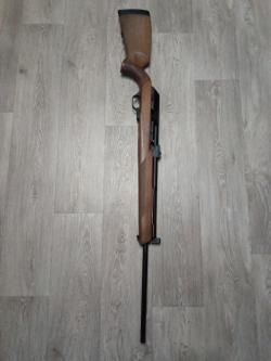 Вепрь-Пионер