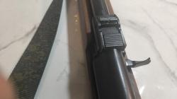 Вепрь-пионер