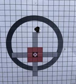 Вепрь-125 (223REM)+ДТК+RIKA NV Лесник-325