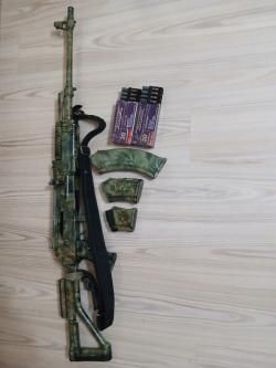 Вепрь1в