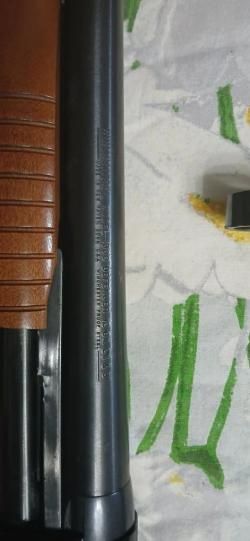 Винчестер 1300