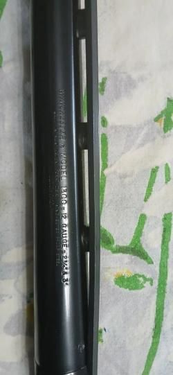 Винчестер 1300