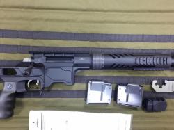 Винтовка DVL-10 M3 Волкодав