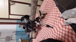 Полуавтоматическая ПСП винтовка Леший 2