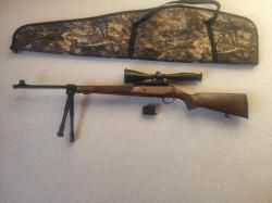 ВПО - Горностай