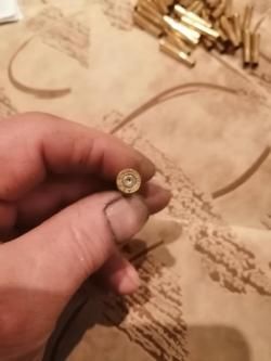 Все для 22hornet 