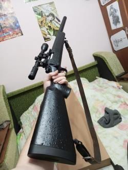 VSR-10 от Snow Wolf