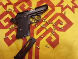 Chiappa Walther PPK