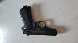 Walter PPK/S