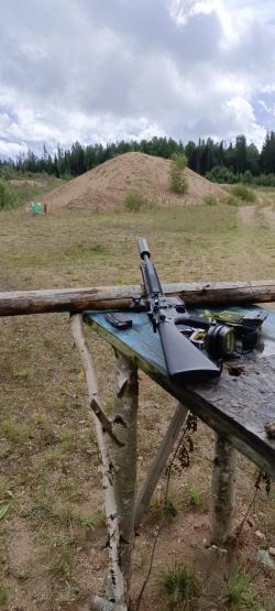 Walther Colt M16 Rifle 22 LR