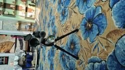 Walther dominator 1250