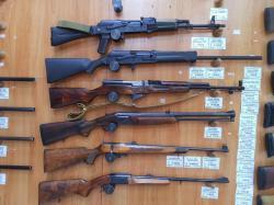 Walther G22R, ТОЗ-78-01, ИЖ-94