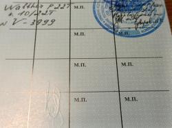 Walther P22T к.10/22T