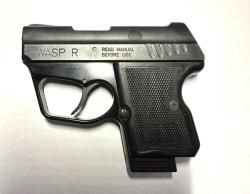 WASP R