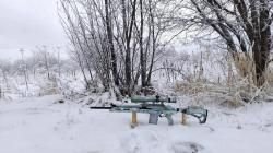 Wild boar custom 308win